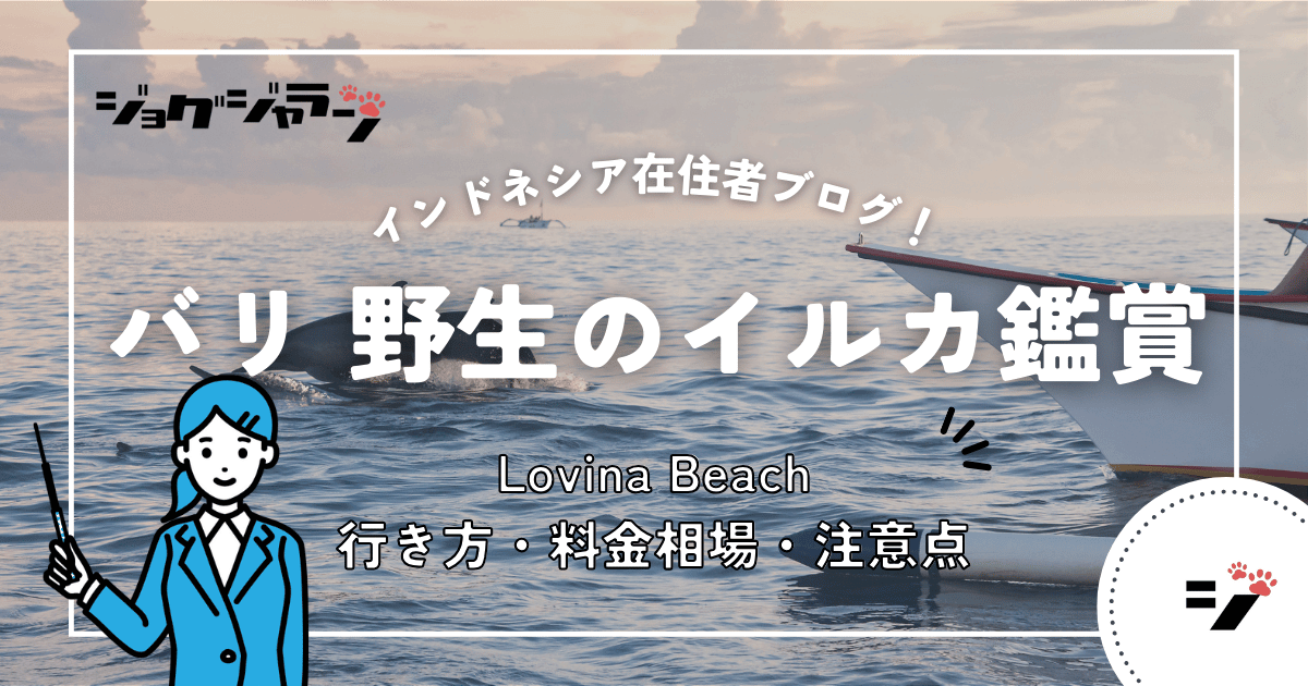 バリ島北部「ロヴィナビーチ」で野生のイルカと泳ごう！感動のドルフィンウォッチング体験