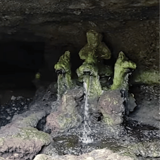 タナロット寺院の聖水 | インドネシア バリ島 タナロット寺院