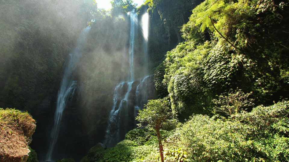 スクンプル滝 (Sekumpul Waterfall) | バリ島 北部 観光スポット