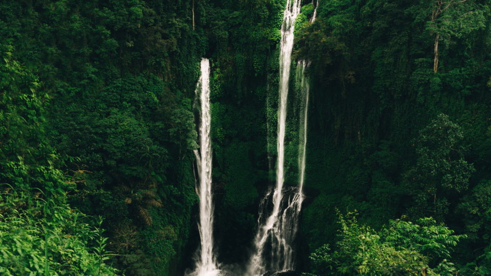 スクンプル滝 (Sekumpul Waterfall) | バリ島 北部 観光スポット