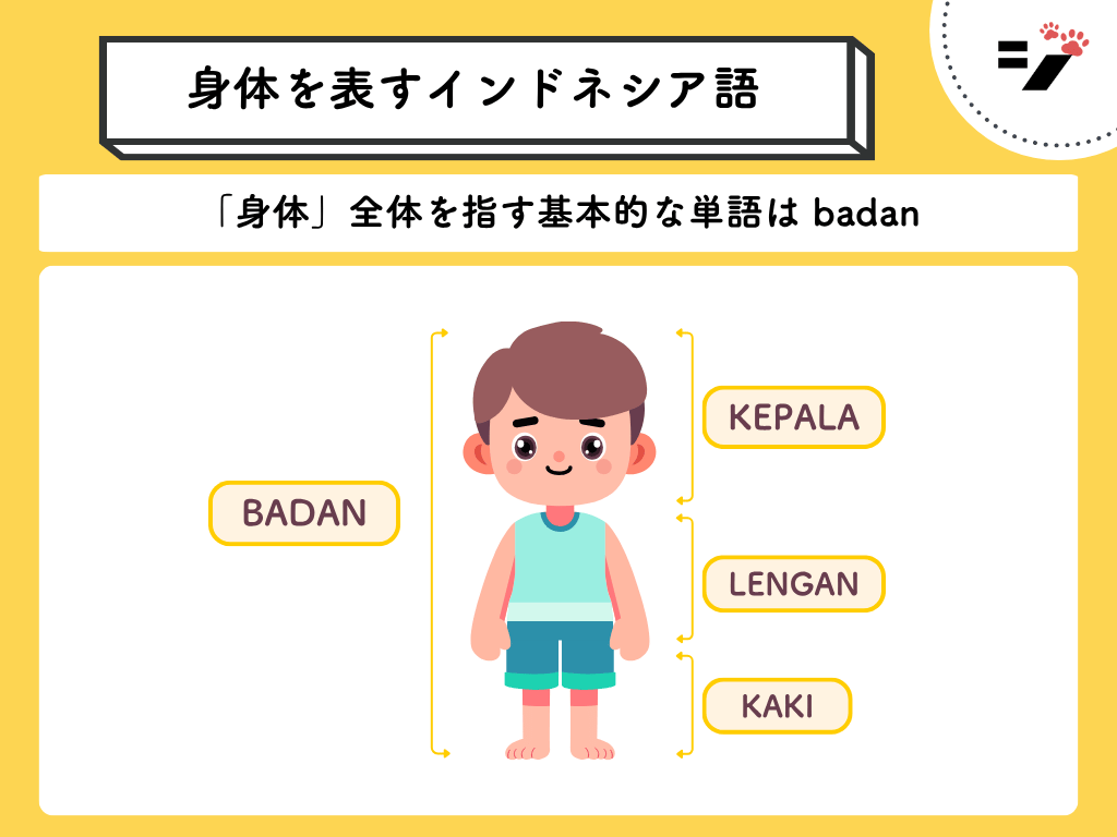 身体を表すインドネシア語の図解