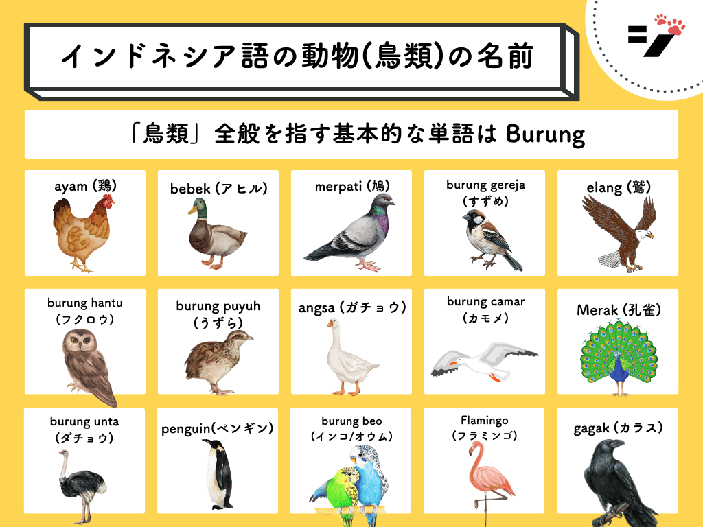 [イラスト・図解]インドネシア語の動物(鳥類)の名前