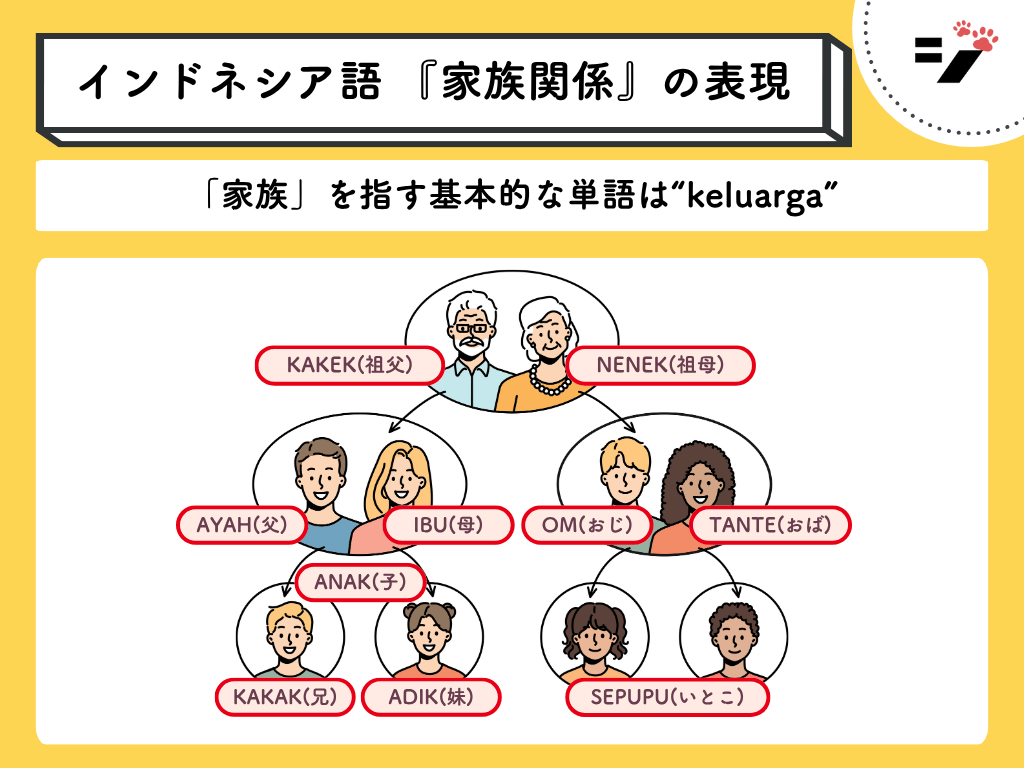 家族関係を表すインドネシア語の単語・図解