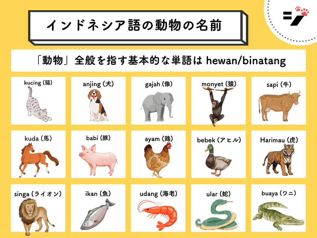 [イラスト・図解]インドネシア語の動物の名前