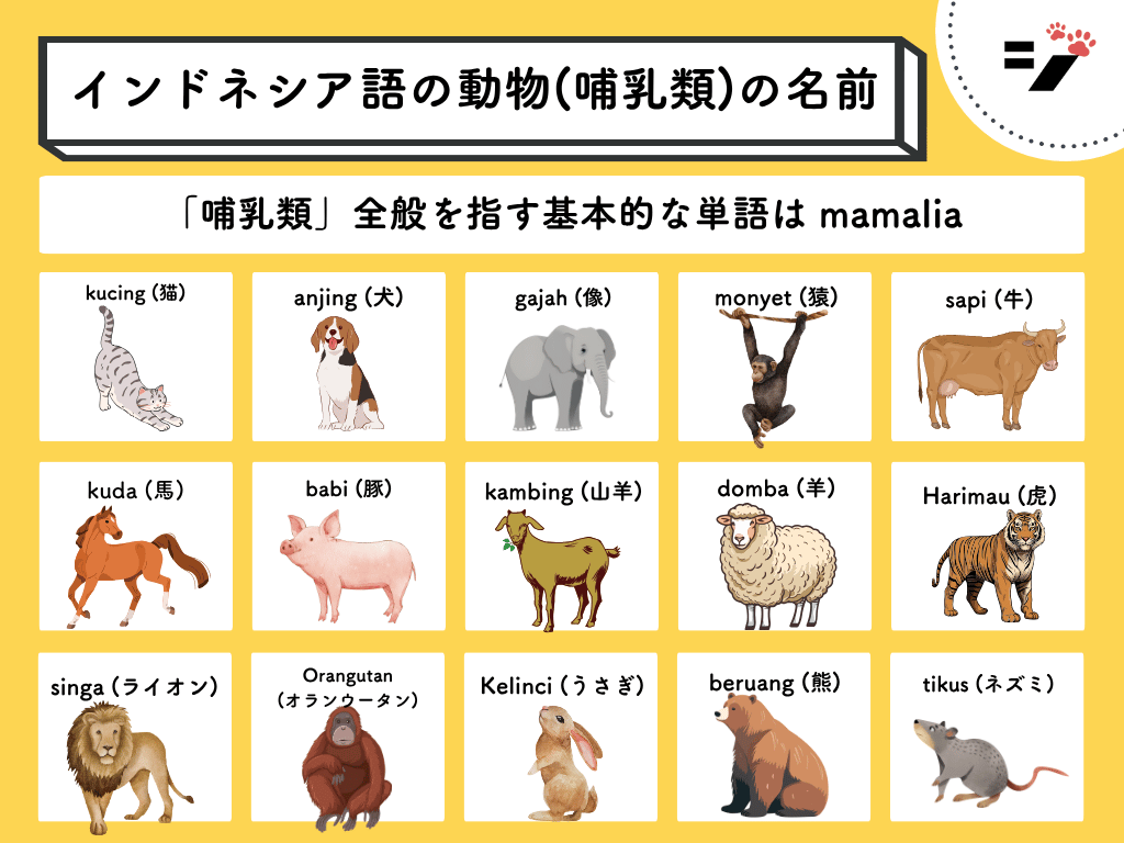 [イラスト・図解]インドネシア語の動物(哺乳類)の名前