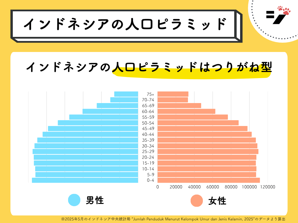インドネシアの人口ピラミッド(2025年)